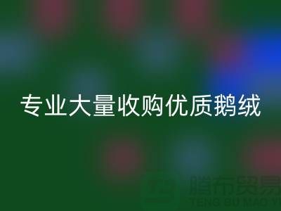 专业羽绒乐玩手机网页版登录入口：大量收购优质鹅绒与鸭绒@上海腾布贸易公司