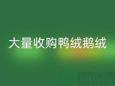 专业羽绒乐玩手机网页版登录入口-大量收购鸭绒鹅绒-杭州服装乐玩手机网页版登录入口厂家