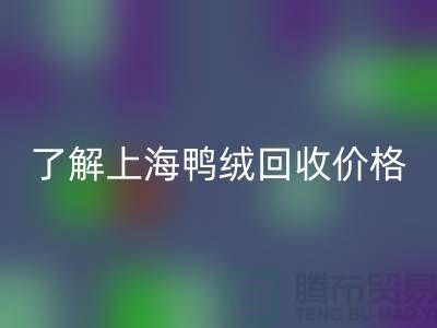 了解上海鸭绒乐玩手机网页版登录入口价格，掌握最新市场动态