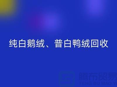 纯白普白鸭绒乐玩手机网页版登录入口-纯白普白鹅绒乐玩手机网页版登录入口-杭州羽绒乐玩手机网页版登录入口厂家