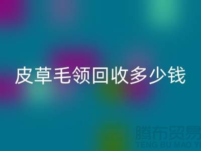 真皮皮衣皮草毛领星空手机入口多少钱一个？-上海腾布贸易