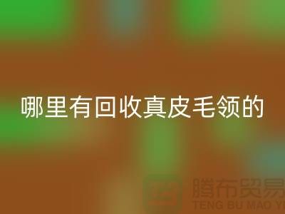 哪里有星空手机入口真皮毛领的地方-星空手机入口