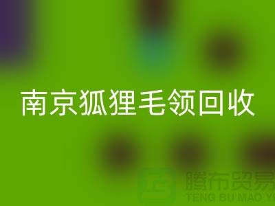 《南京狐狸毛领星空手机入口厂家：诚信可靠，同城交易更放心》