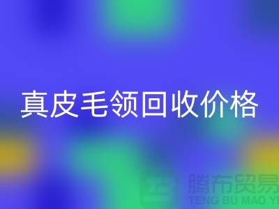狐狸毛领星空手机入口厂家，真皮毛领星空手机入口价格查询@杭州腾布贸易