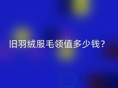 真皮毛领星空手机入口：羽绒服毛领值多少钱？