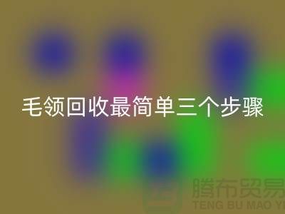 毛领乐玩手机网页版登录入口最简单三个步骤是什么