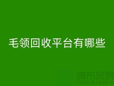 毛领星空手机入口平台有哪些公司或者品牌