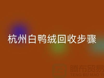 ### 纯白 70 绒、80 绒、90 鸭绒乐玩手机网页版登录入口步骤@杭州羽绒乐玩手机网页版登录入口厂家