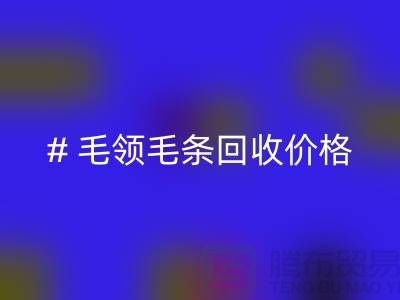 # 毛领毛条星空手机入口价格：解析市场动态与影响因素