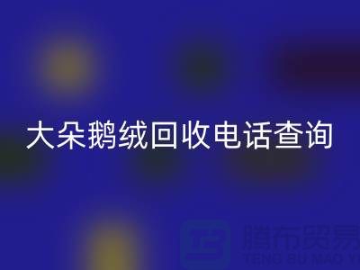 ### 日标羽绒乐玩手机网页版登录入口，大朵鹅绒乐玩手机网页版登录入口电话查询，南京鸭绒乐玩手机网页版登录入口公司