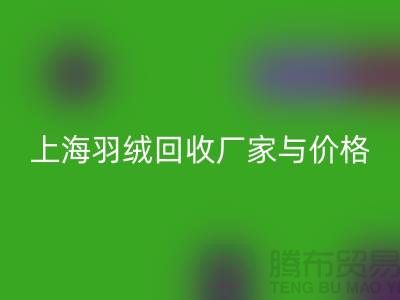 灰鸭绒收购价格多少钱一公斤-上海羽绒乐玩手机网页版登录入口厂家