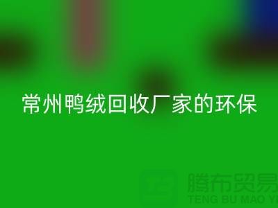 # 专业羽绒乐玩手机网页版登录入口：常州鸭绒乐玩手机网页版登录入口厂家的环保与价值之旅