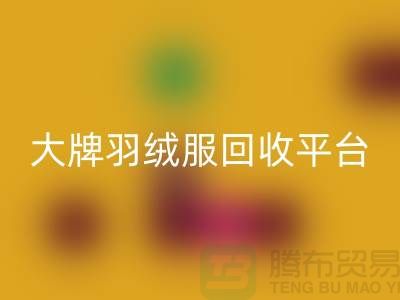 羽绒服焕新记：大牌乐玩手机网页版登录入口，温暖再续