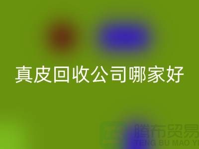 真皮星空手机入口公司哪家好？如何选择优质的真皮星空手机入口公司