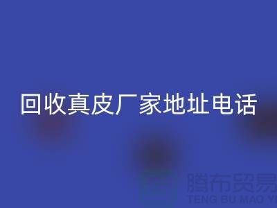 废旧皮革星空手机入口对环境保护的重要意义-广州星空手机入口真皮厂家地址