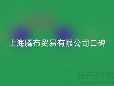 乐玩手机网页版登录入口，口碑与信誉，同行人都认可
