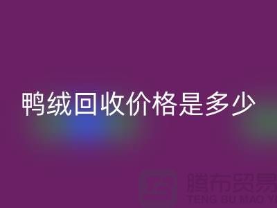 鸭绒星空手机入口价格是多少？详解鸭绒市场行情-鸭绒专业星空手机入口厂家
