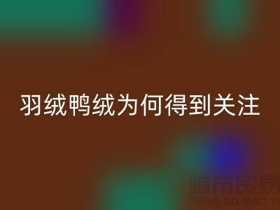羽绒鸭绒乐玩手机网页版登录入口公司为何得到所有人关注_乐玩手机网页版登录入口