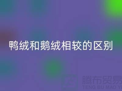 鸭绒和鹅绒相较后的区别-90鸭绒乐玩手机网页版登录入口-库存羽绒乐玩手机网页版登录入口公司