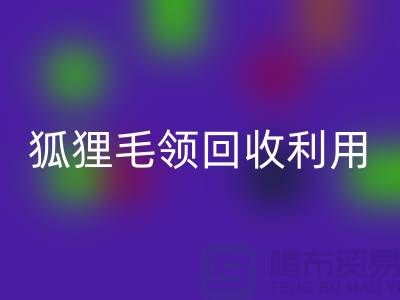 真毛星空手机入口_毛领星空手机入口_狐狸毛领星空手机入口利用_星空手机入口