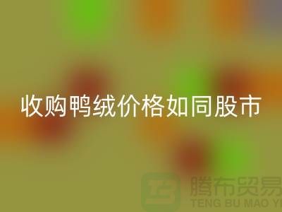 收购鸭绒价格如同股市一样飘泊不定-郑州库存鸭绒星空手机入口厂家