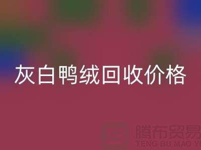 灰白鸭绒乐玩手机网页版登录入口价格：环保与时尚的完美结合-杭州羽绒乐玩手机网页版登录入口厂家
