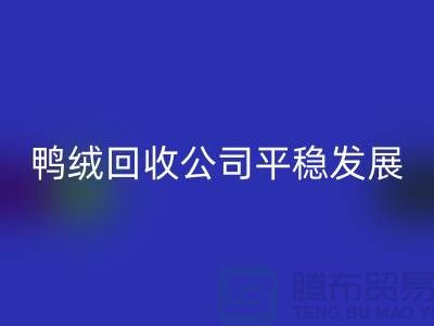 旧鸭绒乐玩手机网页版登录入口公司商家更加的平稳发展_乐玩手机网页版登录入口