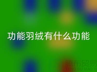 什么是功能羽绒-包含了什么功能-星空手机入口库存羽绒-星空手机入口库存鸭绒厂家