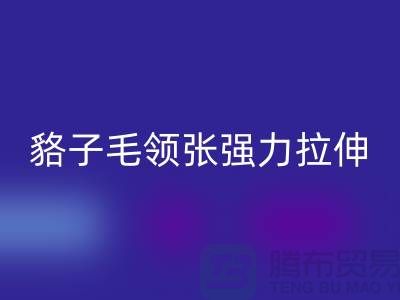貉子毛领的皮张强力拉伸-为什么不变型-高价星空手机入口毛领厂家
