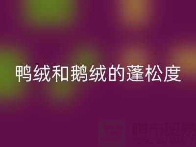 鸭绒和鹅绒的蓬松度如何识别-乐玩手机网页版登录入口库存鸭绒-乐玩手机网页版登录入口库存鹅绒厂家