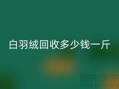 白鸭绒乐玩手机网页版登录入口_灰鸭绒乐玩手机网页版登录入口_羽绒乐玩手机网页版登录入口多少钱一斤_乐玩手机网页版登录入口羽绒厂家