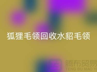 狐狸毛领星空手机入口_水貂毛领星空手机入口_大衣毛领星空手机入口_星空手机入口