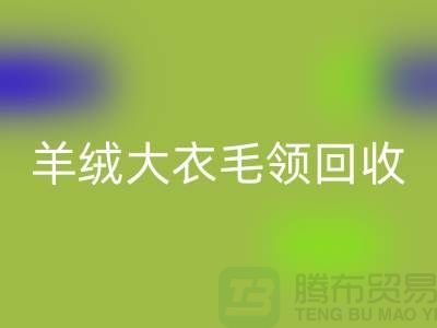 羊绒大衣毛领星空手机入口_真皮狐狸毛领星空手机入口_星空手机入口