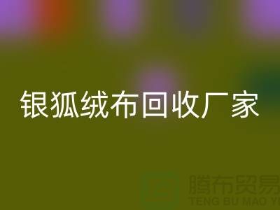 银狐绒布乐玩手机网页版登录入口厂家：让旧衣物焕发新生-服装面料乐玩手机网页版登录入口公司