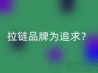 拉链品牌为追求？还是为时尚？_废铜拉链乐玩手机网页版登录入口公司