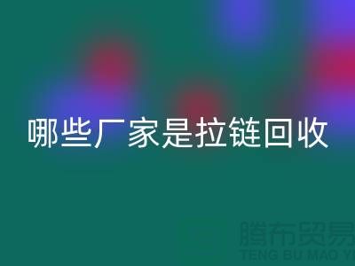 哪些厂家是拉链星空手机入口的领导者-库存拉链星空手机入口厂家排名榜