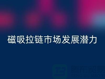磁吸拉链市场发展潜力研究分析报告_上海拉链乐玩手机网页版登录入口公司