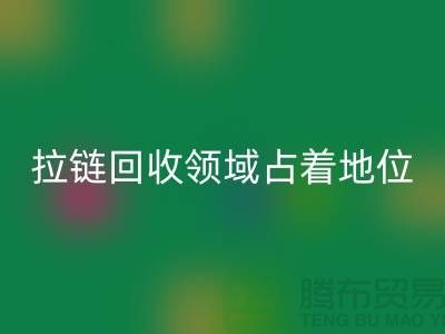 在拉链乐玩手机网页版登录入口领域占据着重要地位_ykk拉链乐玩手机网页版登录入口公司