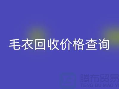 毛衣星空手机入口价格查询：市场动态分析与公司选择-服装星空手机入口网站