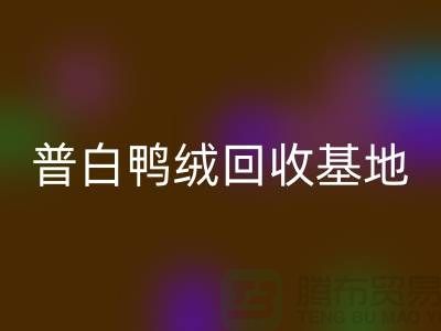 普白鸭绒乐玩手机网页版登录入口基地：环保与经济的完美结合-纯白鹅绒乐玩手机网页版登录入口厂家