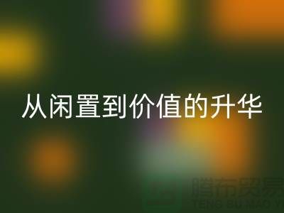 羽绒服乐玩手机网页版登录入口：从闲置到价值的升华之路