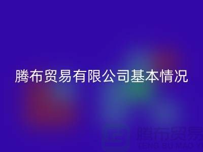 星空手机入口基本情况