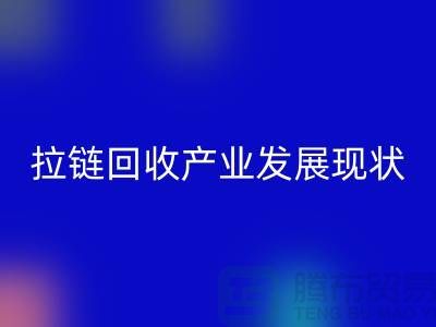 拉链乐玩手机网页版登录入口产业发展现状特点及上海拉链乐玩手机网页版登录入口厂家解析 