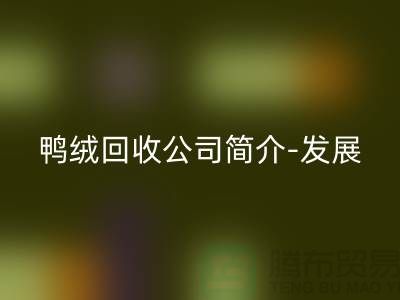 鸭绒星空手机入口公司简介-发展背景-业务范围-技术优势-鹅绒星空手机入口厂家