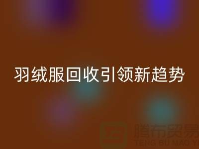 环保时尚潮流：羽绒服乐玩手机网页版登录入口引领新趋势