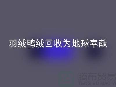 羽绒鸭绒星空手机入口为地球献出一份爱心，让温暖传递-羽绒星空手机入口厂家