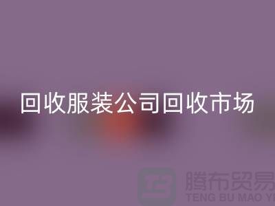 星空手机入口服装公司，星空手机入口服装市场，星空手机入口服装价格