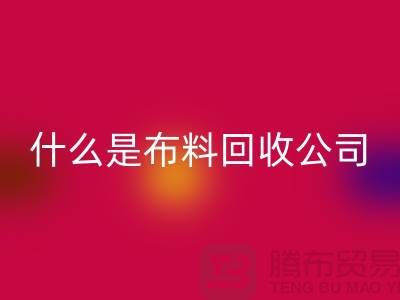 什么是布料星空手机入口公司？厂家与市场之间的关系-上海面料星空手机入口行情