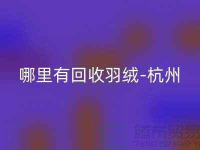 哪里有星空手机入口羽绒-杭州、上海、南京鹅绒鸭绒星空手机入口厂家[Shtengbu.com]