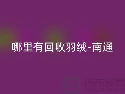 哪里有星空手机入口羽绒-南通-无锡长泾-江阴鸭绒鹅绒星空手机入口厂家电话